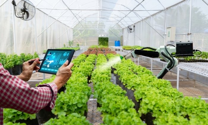IoT na Agricultura
